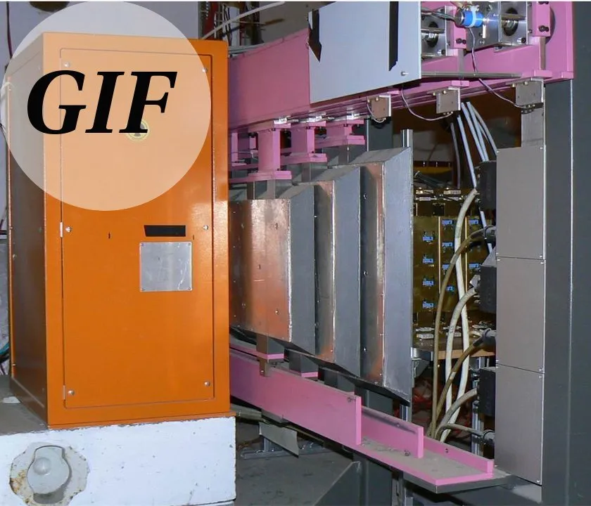 GIF